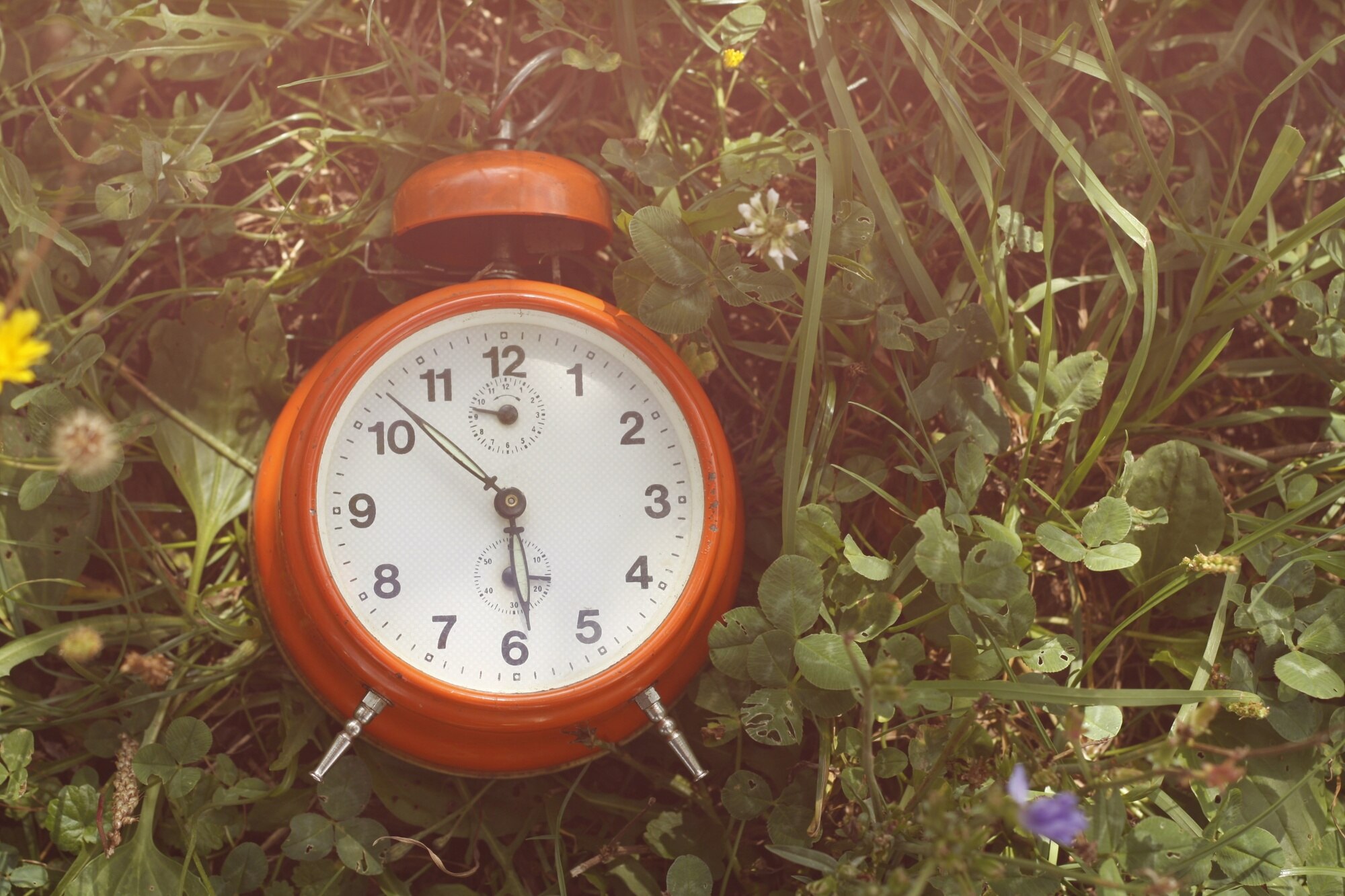 Reloj natural