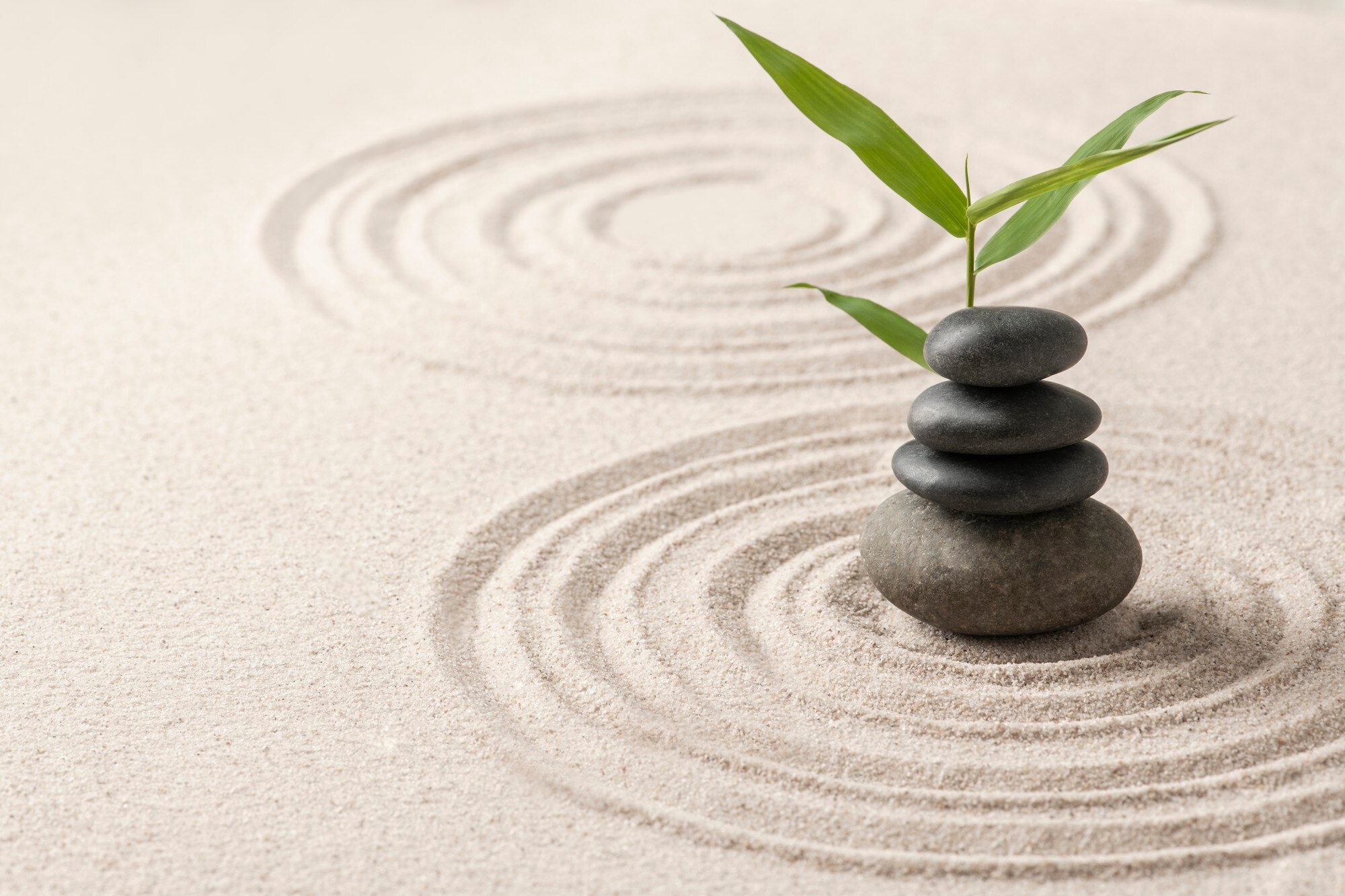Equilibrio natural